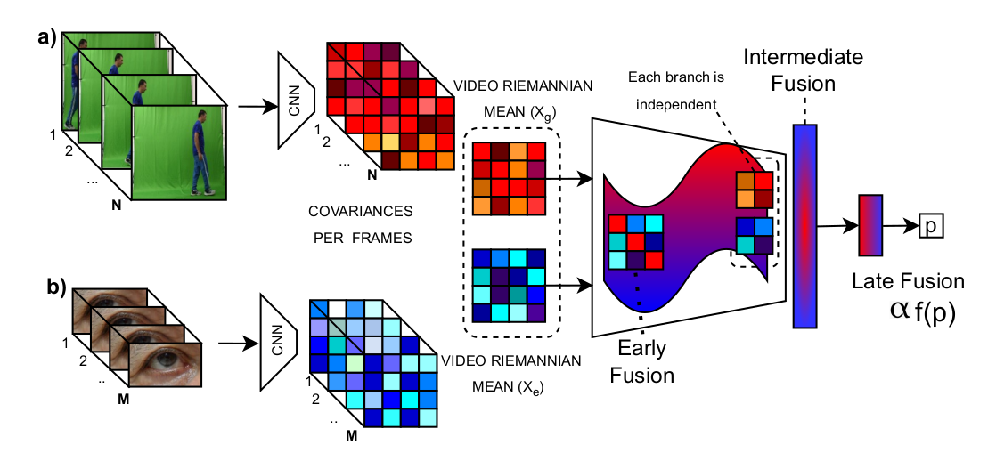 BMEL'24 Multi-level fusion of gait and eye movement for Parkinson quantification